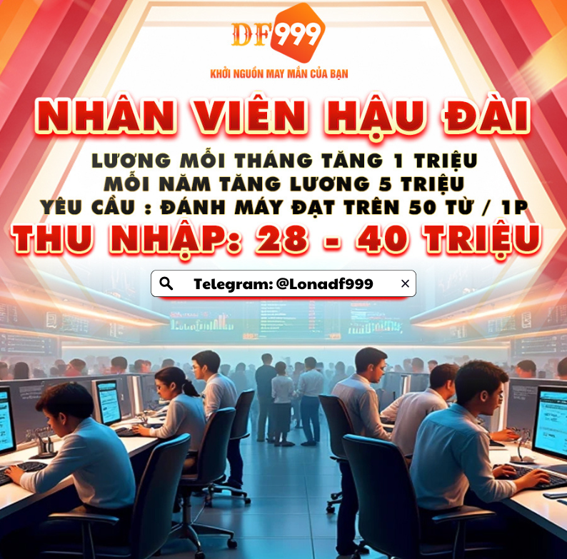 lĩnh vực hoạt động